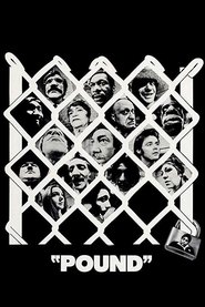 Poster Pound 1970