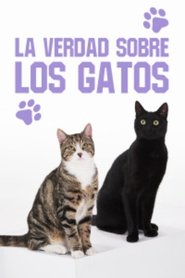 Cat Tales