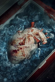 The Surgeon постер