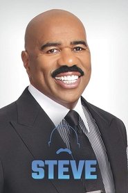 Poster Steve 2018