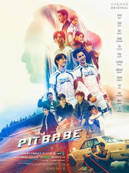 Pit Babe poster
