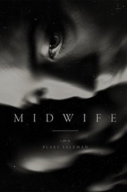 Poster Midwife 2016