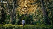 El jardín de bronce 1x8
