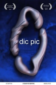 Poster Dic Pic