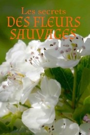 Les Secrets des fleurs sauvages (2019)