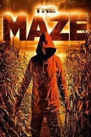 The Maze