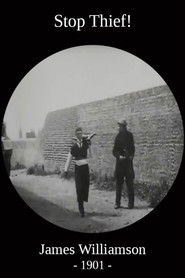 Stop Thief! (1901)