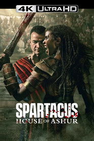Spartacus: House of Ashur