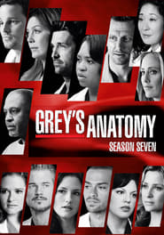 Grey’s Anatomy Season 7 Episode 19