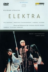 Voir Elektra en streaming vf gratuit sur streamizseries.net site special Films streaming