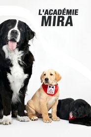 L'académie Mira (2019)