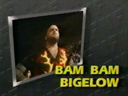 November 14, 1987 - Superstars of Wrestling 63