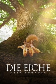 Poster Die Eiche - Mein Zuhause