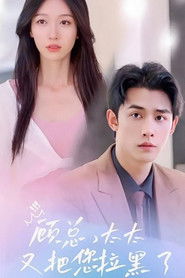 顾总，太太又把您拉黑了 (2023)