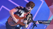Foals