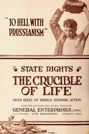 Poster The Crucible of Life