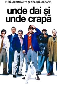 Unde dai și unde crapă (2000)