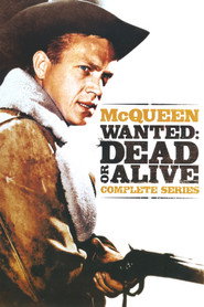 Wanted: Dead or Alive poster