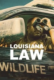 Louisiana Law постер