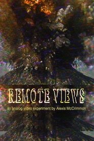 Remote Views (2025)