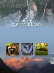 Wild Switzerland постер