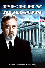 Perry Mason Returns poster