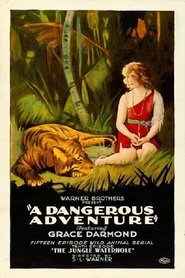 Poster A Dangerous Adventure