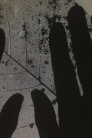 This is How We Dream: Bloom