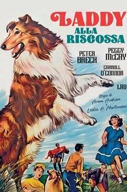 Laddy alla riscossa) Laddy alla riscossa (1962)