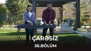 Episode 36