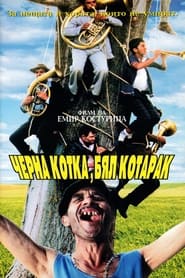 Черна котка, бял котарак (1998)