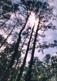 Wilderness: A Country in the Mind) Wilderness: A Country in the Mind (1984)