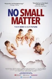 No Small Matter постер