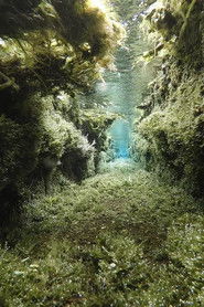 *W9g*[Mozi~HU] ? The Stream X � (Teljes Film Magyarul) 2020
