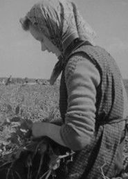 Over de jaargetijden heen (1949)