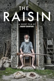 Poster The Raisin