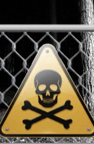 Poster for Influencer into the woods