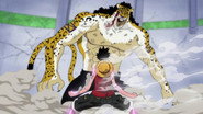 Fists Full of Emotion! Luffy Unleashes Gatling with All His Might!