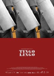 Poster Tingo Lingo 2018