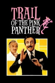 Audio 2 pink panther english dual hindi Pink Panther