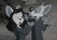 Pinky and the Brain - Episode 1x18