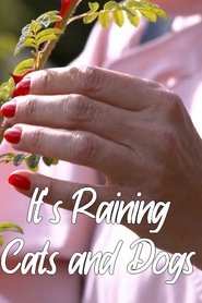It's Raining Cats and Dogs 2022 Бесплатан неограничен приступ