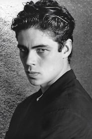 Benicio del Toro