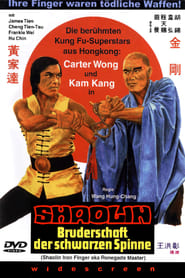 Poster Shaolin Bruderschaft der schwarzen Spinne