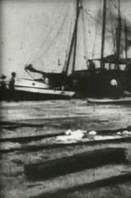 Poster Bird's-Eye View of Dock Front, Galveston 1900