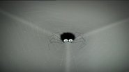 Interior Cobwebs