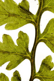 we breathe each other in and out of existence