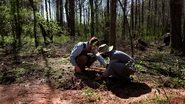 Atlanta Forest Garden: Four Days of Work 2023 Безплатен неограничен достъп