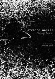 Poster Estranho Animal 2019