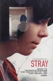 Stray streaming